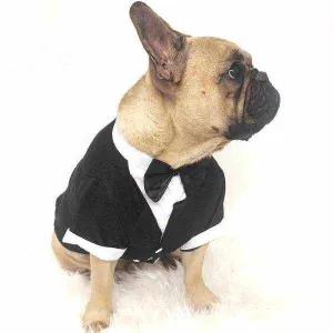 Black Tuxedo Small - Medium Dogs